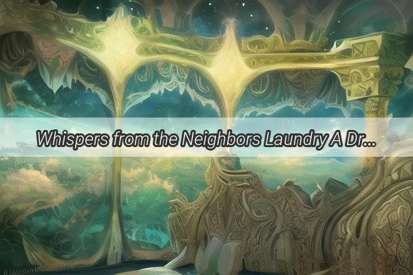 Whispers from the Neighbors Laundry A Dream That Dances with Laundry Day Secrets